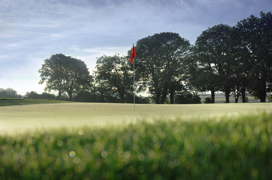 Low view across a green towards a red flag and mature trees at Cregmore Park.